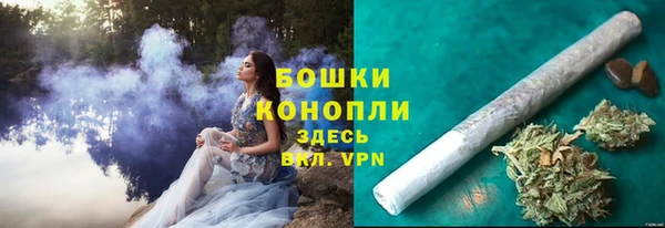 mdpv Ельня