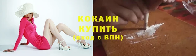 mdpv Ельня