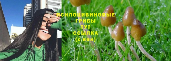 mdpv Ельня