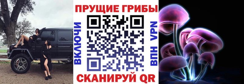 Псилоцибиновые грибы Psilocybine cubensis  Купить где  Бодайбо 