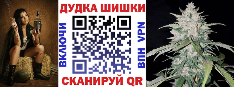 Бошки Шишки план Бодайбо